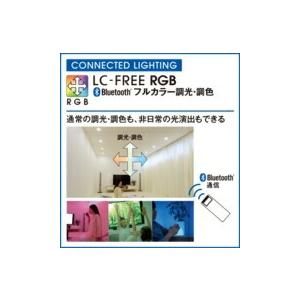 オーデリック ダウンライト 【OD361204RG】【OD 361 204RG】の画像