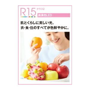 値下げ幅 オーデリック ダウンライト 【OD361395R】【OD 361 395R】【代引決済・後払い決済不可】【純正品】