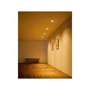 ODELIC オーデリック ダウンライト 【OD361479BR】【OD 361 479BR】高