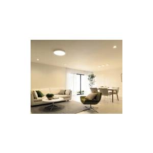 ODELIC オーデリック シーリングライト 【OL291364BR】【OL 291 ODELIC オーデリック シーリングライト 【OL291364BR】【OL 291