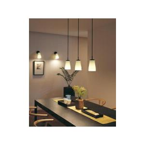 ODELIC（オーデリック） ペンダントライト 【OP252094BR】【OP 252