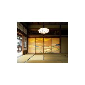 ODELIC（オーデリック） ペンダントライト 【OP252368R】【OP 252 368R