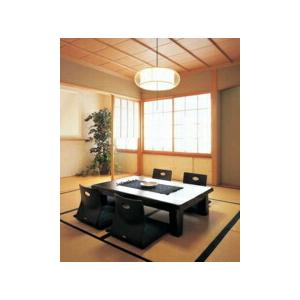 レトロデザインペンダント ODELIC OP 252 355R2灯セット ODELIC（オーデリック） ペンダントライト 【OP252403R】【OP 252 403R