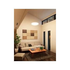 オーデリック ペンダントライト 【OP252428R】【OP 252 428R】 ペンダントライト【代引決済・後払い決済不可】【純正品】 ペンダントライト OP252428R 代引決済 後払い決済不可 調色