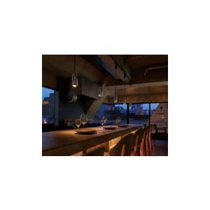 ODELIC（オーデリック） ペンダントライト 【OP252813R】【OP 252 813R