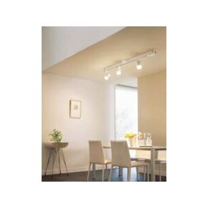 ODELIC（オーデリック） スポットライト 【OS256672LR】【OS 256 672LR