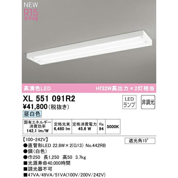 オーデリック ベースライト 【XL551091R2】【XL 551 091R2】【代引決済・後払い決済不可】の画像