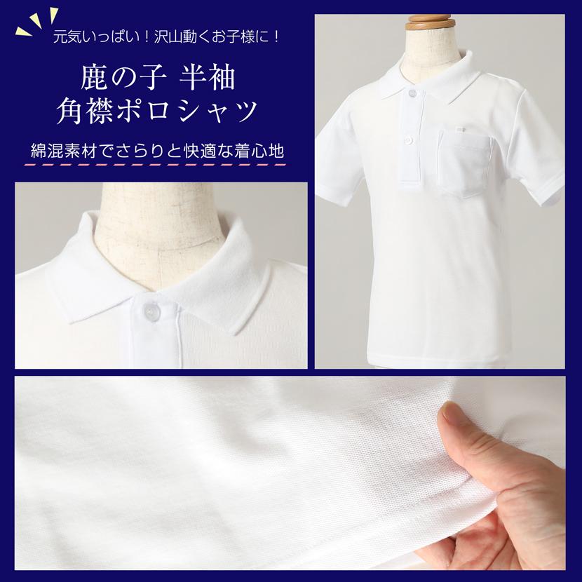 お子様用 ポロシャツ 半袖 綿混合 男女兼用 トップス 白 無地 キッズ 鹿の子 お受験 面接 学校説明会 行動観察 幼児教室 通園 通学 シャツ スクールシャツ 101 |  | 01