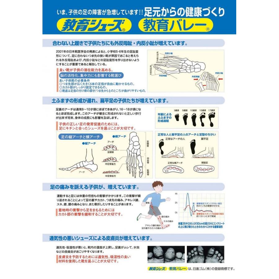 上履き 子供 教育シューズ 保育園 幼稚園 小学校 お受験 面接 行動観察