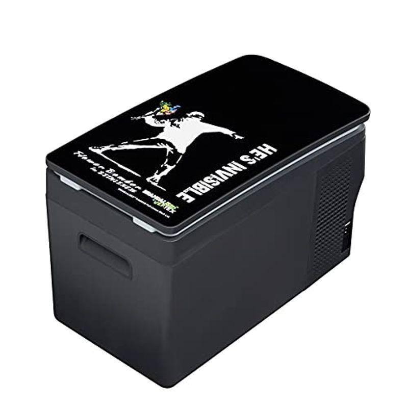 お見舞い バンクシ?モデル 車載用冷蔵庫 ポータブル冷蔵庫 フラワー