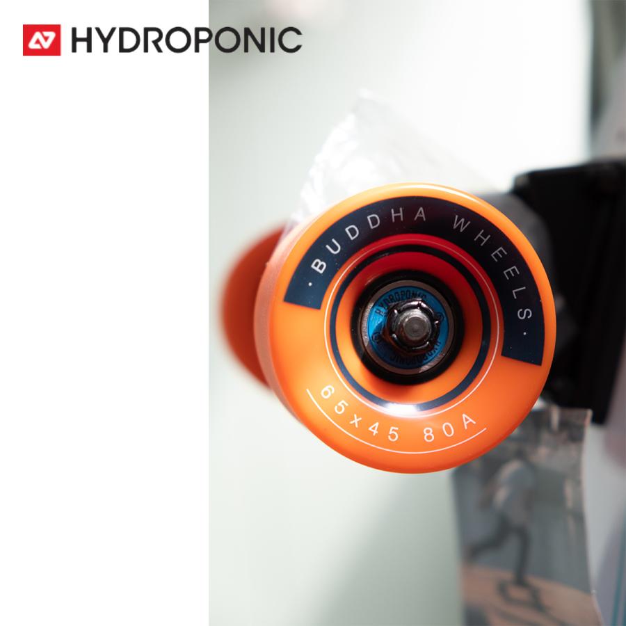 スケートボード ハイドロポニック Hydroponic コンプリート Surfskate