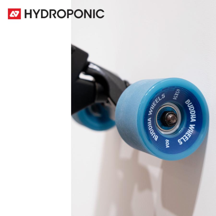 サーフスケート　カービング　HYDROPONIC サマー　オフトレ サーフスケート カービング HYDROPONIC サマー オフトレ - メルカリ