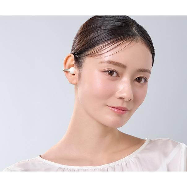 Panasonic（パナソニック） Technics パナソニックRB-C10-K[5年延長