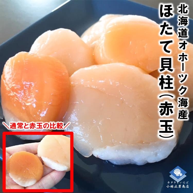 貝柱１ｋ 赤身 ねこたま 数量限定】ホタテ 冷凍ホタテ貝柱 北海道産 赤玉 1kg 約1000粒に1粒の