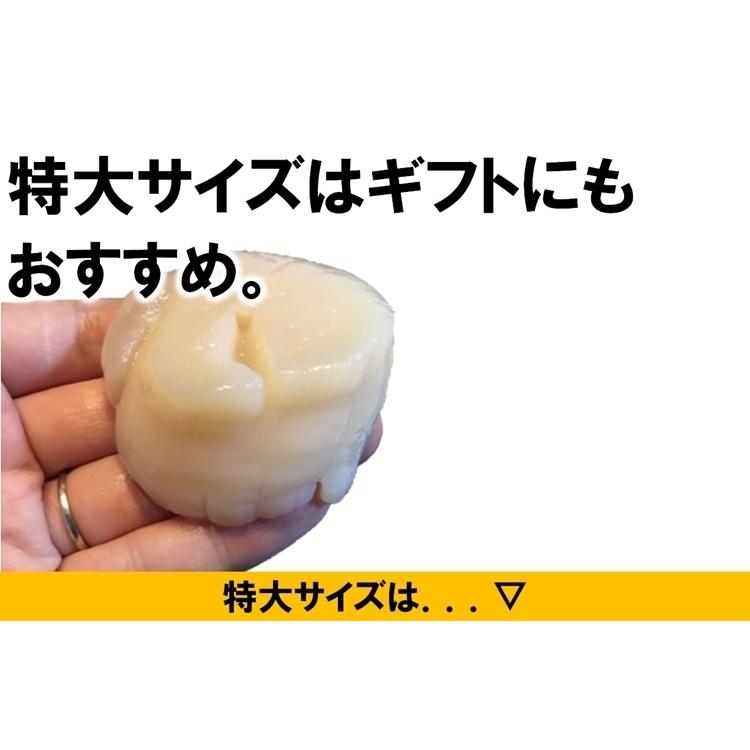 ほたて様 H×2/ヤマト便 楽天市場】ボイルホタテ1kg（2Lサイズ） 冷凍便 [帆立,ほたて] : 築地魚群