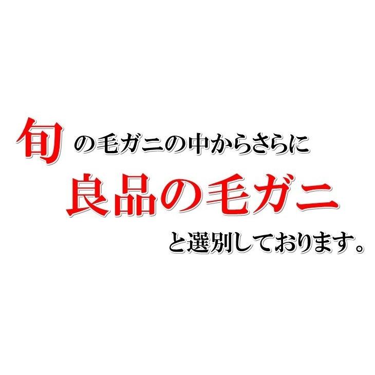 毛ガニ 毛がに 北海道産 浜茹で毛ガニ １杯約570ｇ 大サイズ 3杯入 最上級品 堅ガニ 送料無料 お取り寄せ お歳暮 2024年物｜masaoshoten｜10