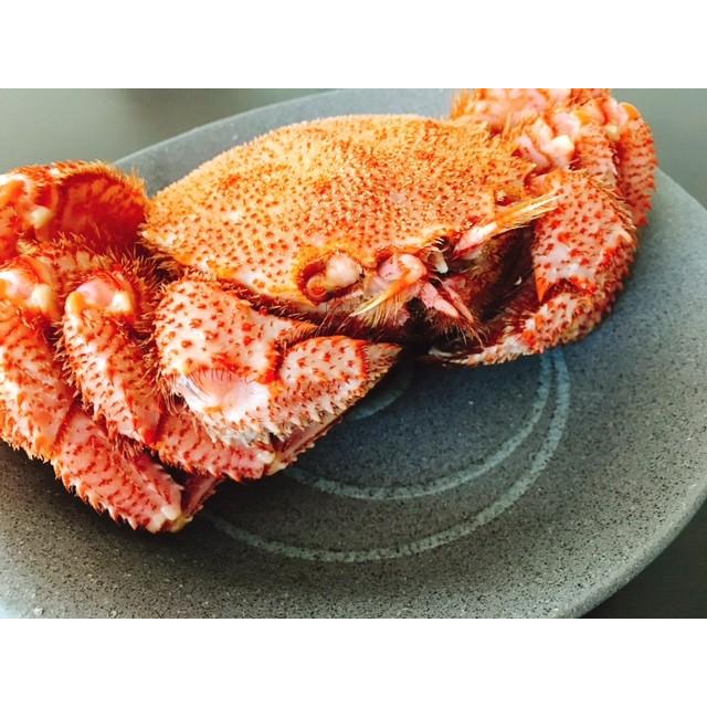 残りわずか】毛がに 毛蟹 北海道産 浜茹で毛ガニ 1杯約800g 超特大 