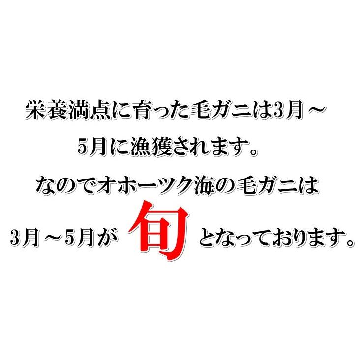 【2024年物入荷】毛がに 毛蟹 北海道産 浜茹で毛ガニ １杯約800g 超特大サイズ 最上級品 堅ガニ ギフト 条件付き送料無料 お取り寄せ お歳暮 2024年物｜masaoshoten｜06