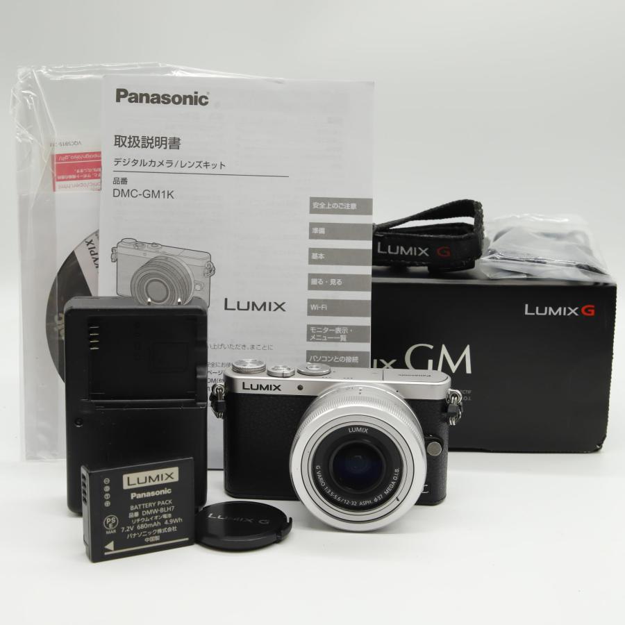 Panasonic LUMIX DMC-GM1K　レンズキット 概要 デジタル一眼カメラ/レンズキット DMC-GM1K | LUMIX（ルミックス
