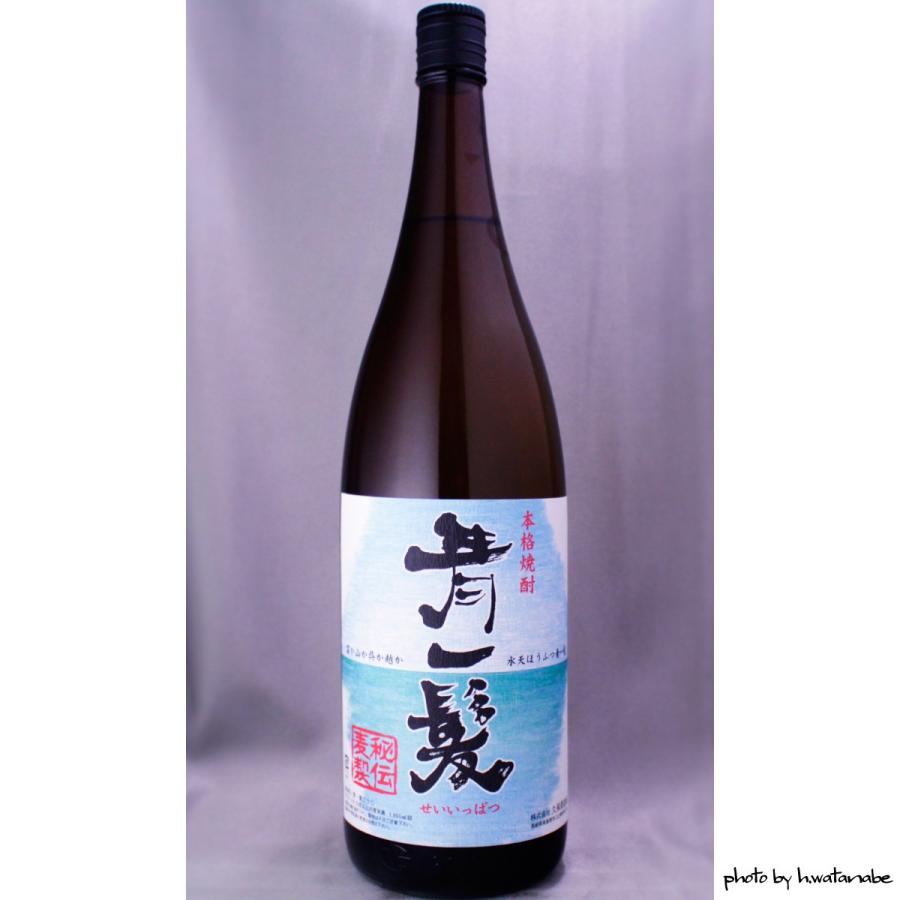 青一髪 1800ml M サイバーマサルヤ 通販 Yahoo ショッピング