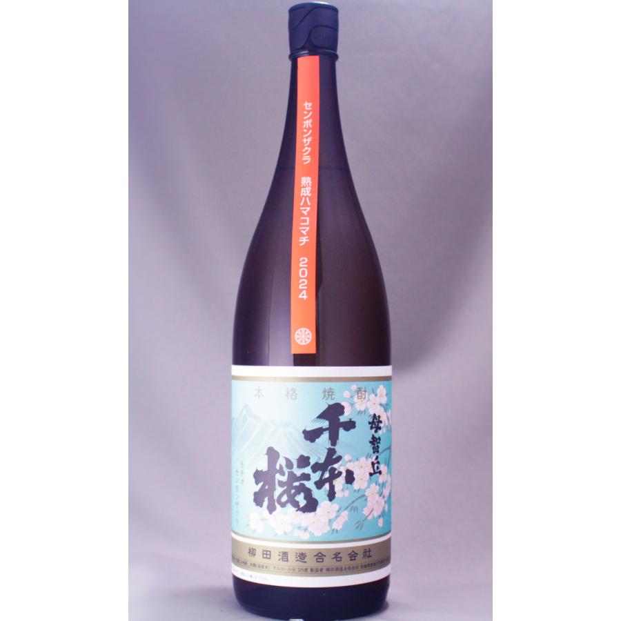NEW 千本桜 熟成ハマコマチ 2022 1800ml quran-unv.edu.sd NEW 千本桜 熟成ハマコマチ 2022 1800ml quran-unv.edu.sd