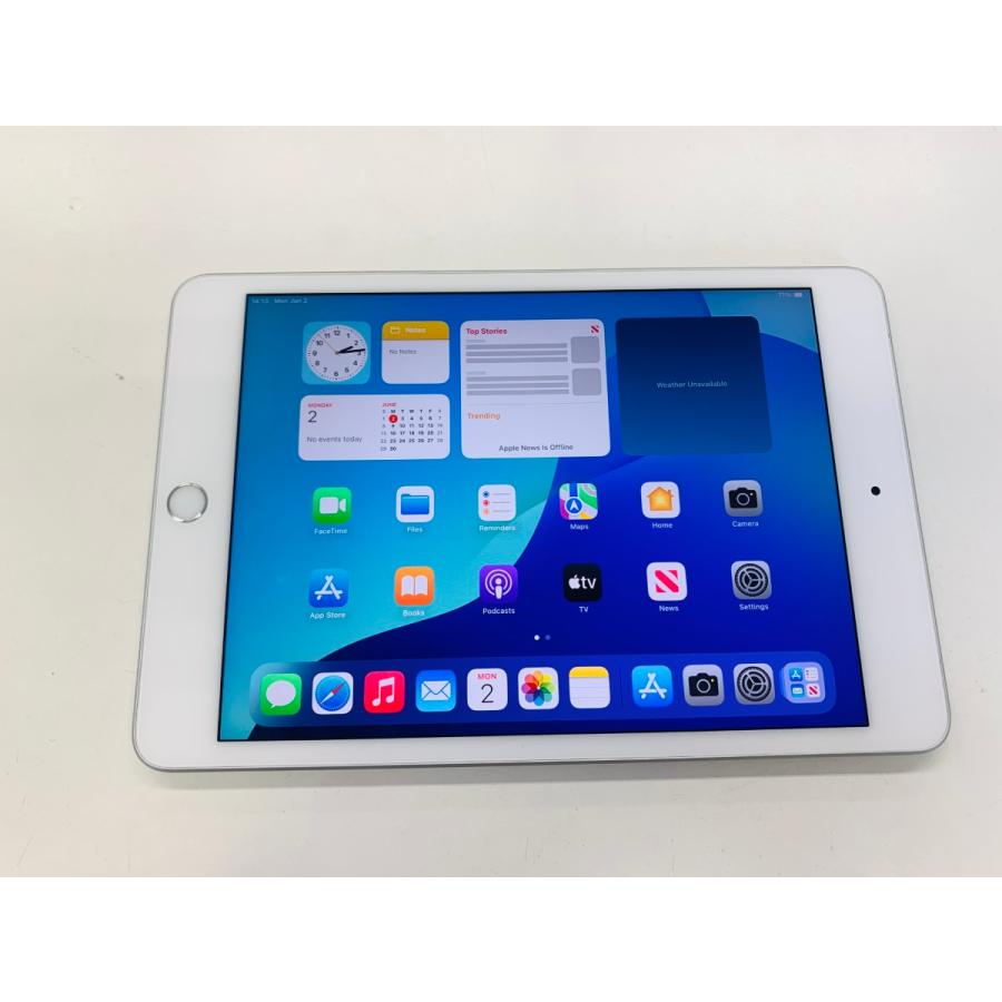 ジャンク】iPad mini 5 Wi-Fi + Cellular 64GB 【公式通販】