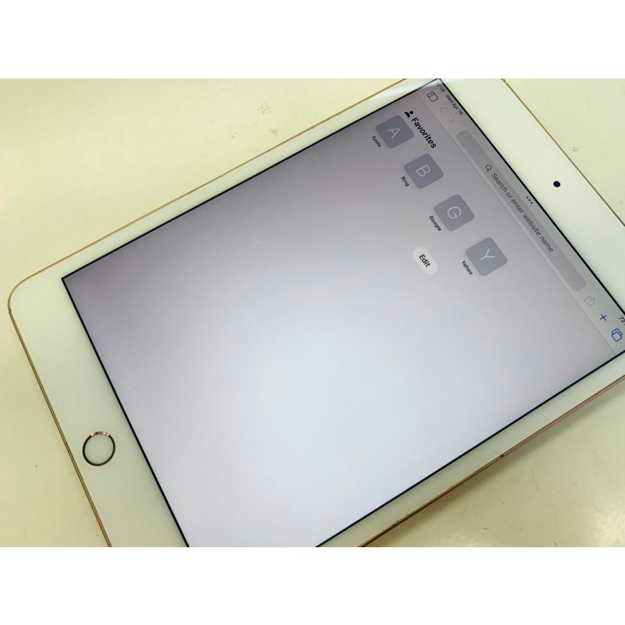 ジャンク　iPad mini 第５世代　Wi-Fi＋Cellular 256GB iPad mini Apple Mini 第5世代 A2124 256GB Wi-Fi+Cellular