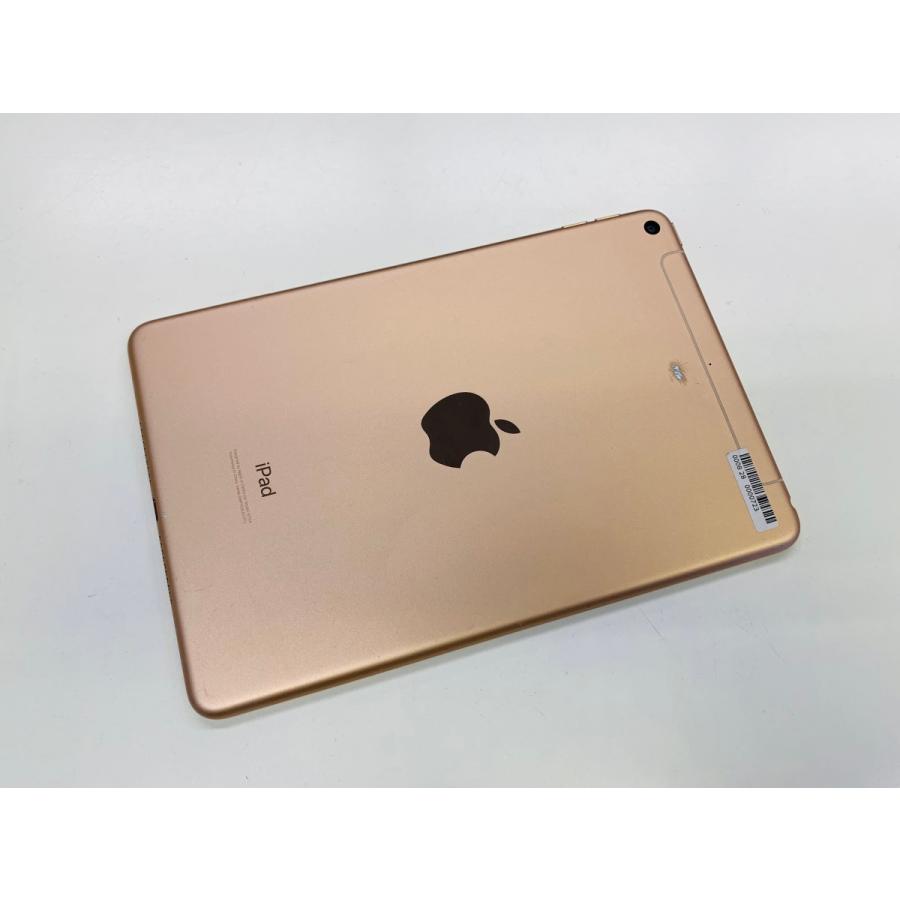 ☆送料無料☆A2124 iPad mini 第5世代 Wi-Fi + Cellular 256GB