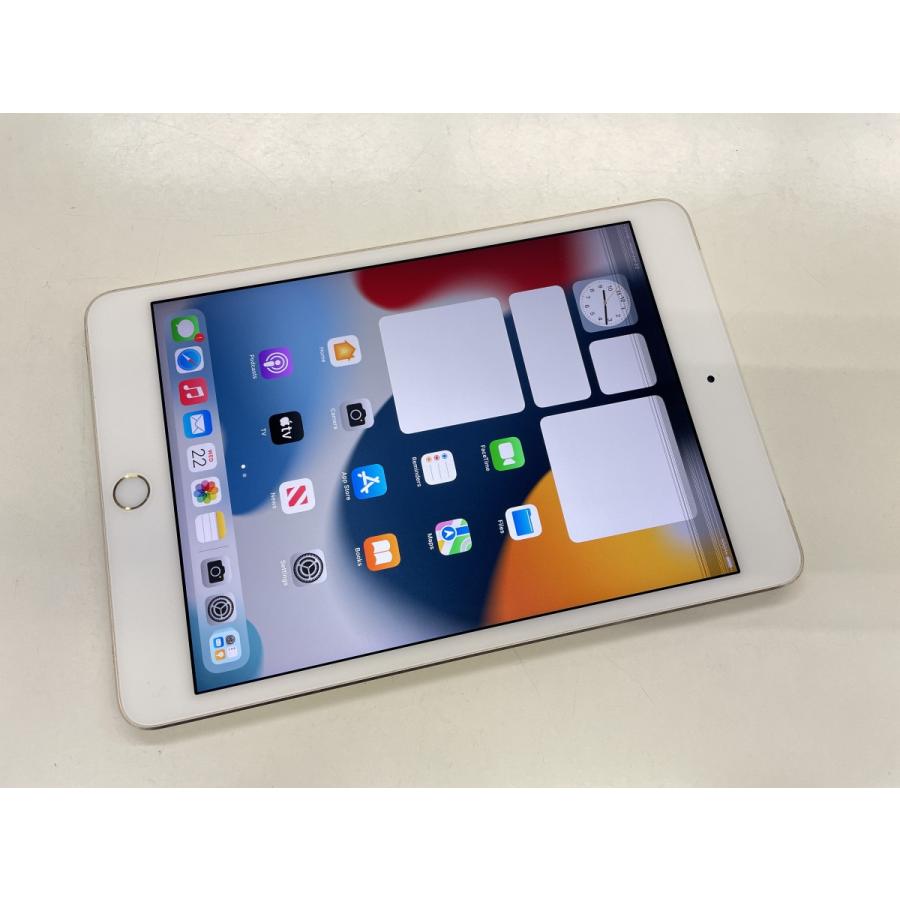 iPad mini 4 キャリアdocomo 中古ジャンク ☆送料無料☆ジャンク☆docomo☆iPad mini 第4世代 Wi-Fi+Cellular