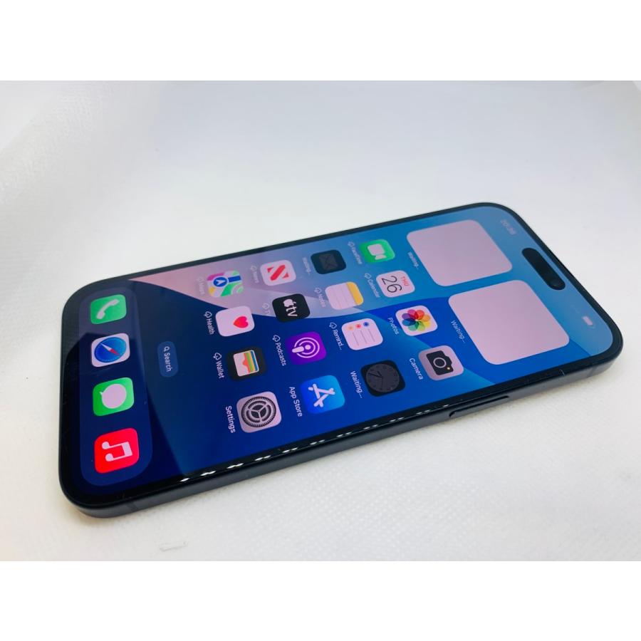 iPhone 15 Plus 128GB ブラック ドコモ版 ☆送料無料☆docomo☆iPhone15 Plus 128GB☆ブラック☆1000280000008