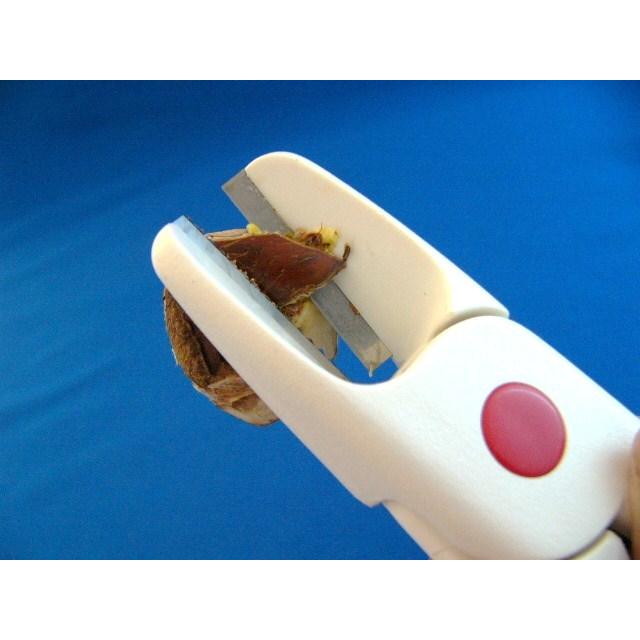 栗くり坊主2 栗の皮むきハサミ 栗むき 栗剥き ハサミ型 スワダ SUWADA 秋の味覚 ヤマト運輸ネコポス発送 送料無料 |masatoyo-hamono|02