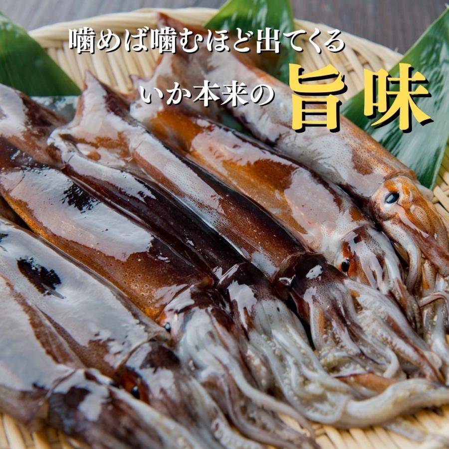 皮付きさきいか 50g 3袋 送料無料 セット 珍味 燻製するめ スルメ おつまみ お取り寄せ メール便 酒の肴 在宅 家飲み 食品 イカ いか アタリメ 常温 | ブランド登録なし | 01