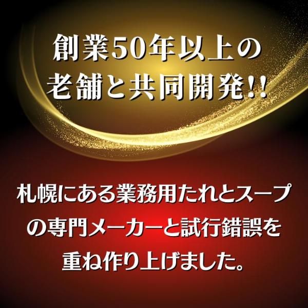 スープカレー 北海道産 甘えび 出汁  濃厚 3袋セット 送料無料 レトルト 甘えび カレー Mashike Soup Curry お得セット 常温 | ブランド登録なし | 02