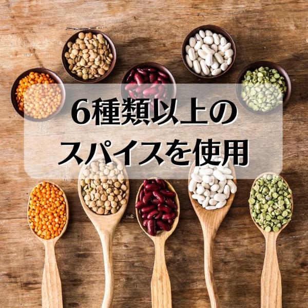 スープカレー 北海道産 甘えび 出汁  濃厚 3袋セット 送料無料 レトルト 甘えび カレー Mashike Soup Curry お得セット 常温 | ブランド登録なし | 03