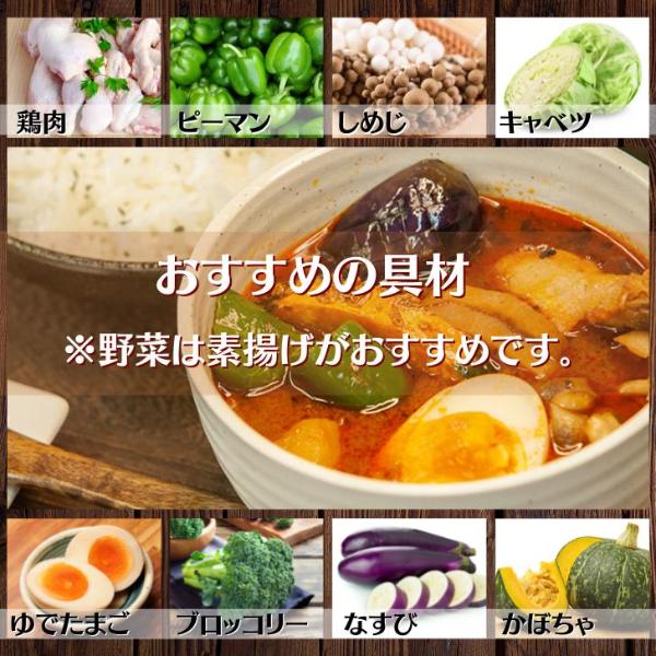 スープカレー 北海道産 甘えび 出汁  濃厚 3袋セット 送料無料 レトルト 甘えび カレー Mashike Soup Curry お得セット 常温 | ブランド登録なし | 09