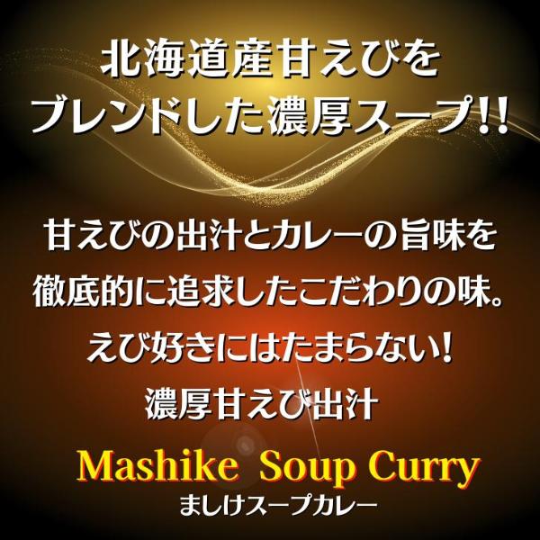 スープカレー  北海道産 甘えび 出汁  濃厚 5袋セット 送料無料 レトルト 甘えび カレー Mashike Soup Curry お得セット 常温 | ブランド登録なし | 01