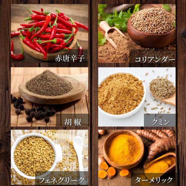 スープカレー  北海道産 甘えび 出汁  濃厚 5袋セット 送料無料 レトルト 甘えび カレー Mashike Soup Curry お得セット 常温 | ブランド登録なし | 04