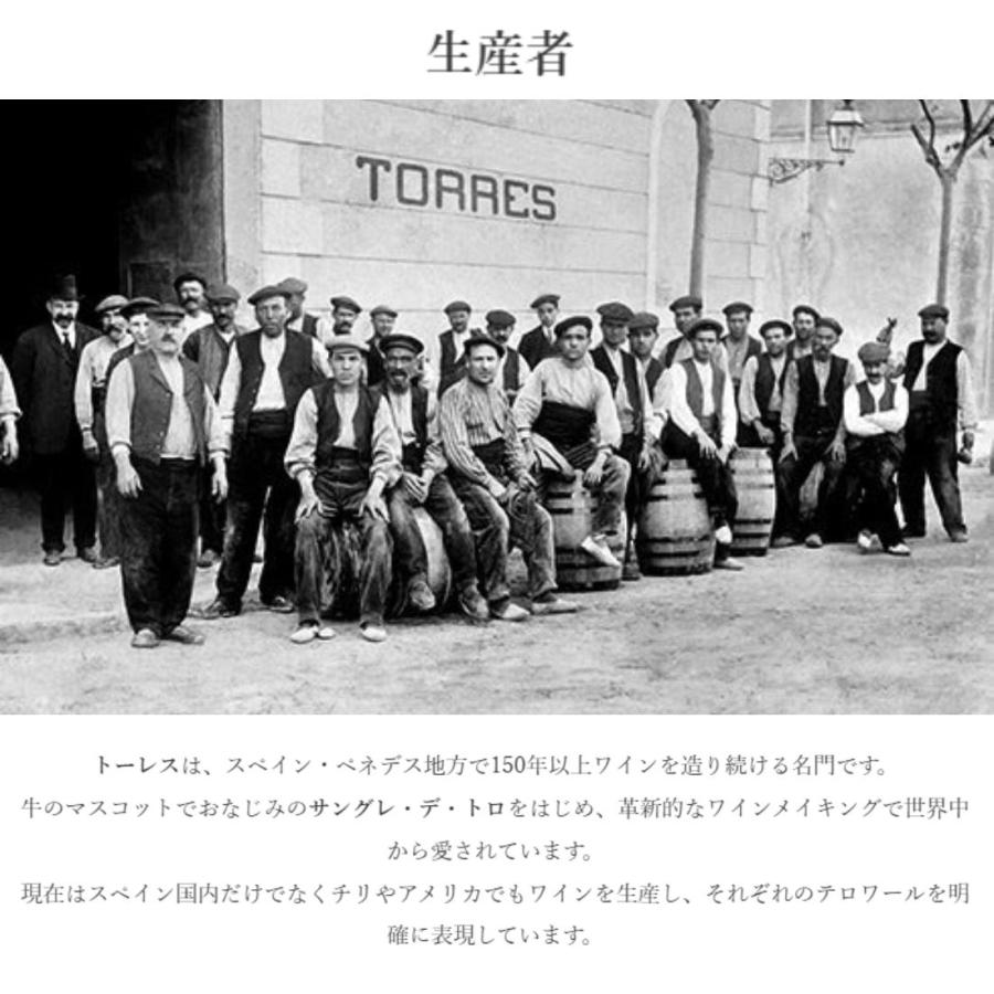 〇トーレス ヴィーニャ エスメラルダ スパークリング ブリュット [NV] 750ml 白泡 |  | 02