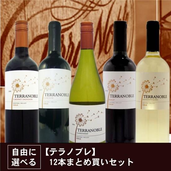 テラノブレ 12本まとめ買いセット 送料無料 | 