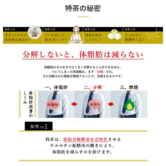送料無料 サントリー 伊右衛門 特茶 500ml×24本入 ペット 2ケースセット 計48本 | 特茶 | 02