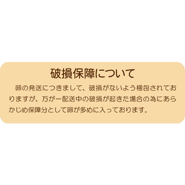 卵 生卵 産地直送 グリーンファームソーゴ 卵どすえ 200個入 GFS 京都産 玉子 たまご 鶏卵 |  | 07