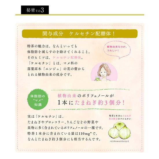 送料無料 サントリー 伊右衛門 特茶×特茶 カフェインゼロ 500ml×24本入 ペット 2ケースセット 計48本 | 特茶 | 05