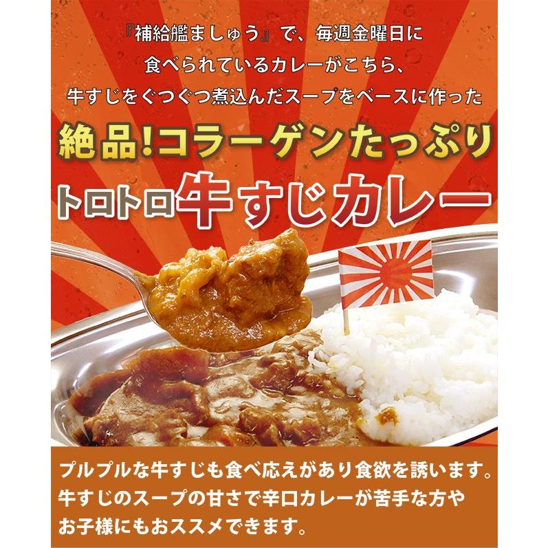 海上自衛隊 補給艦ましゅうのとろとろ牛すじカレー レトルト 200g×3食入り 1箱 単品 海自カレー 海軍カレー ビーフカレー レトルトカレー ご当地 土産 まいづ |  | 06