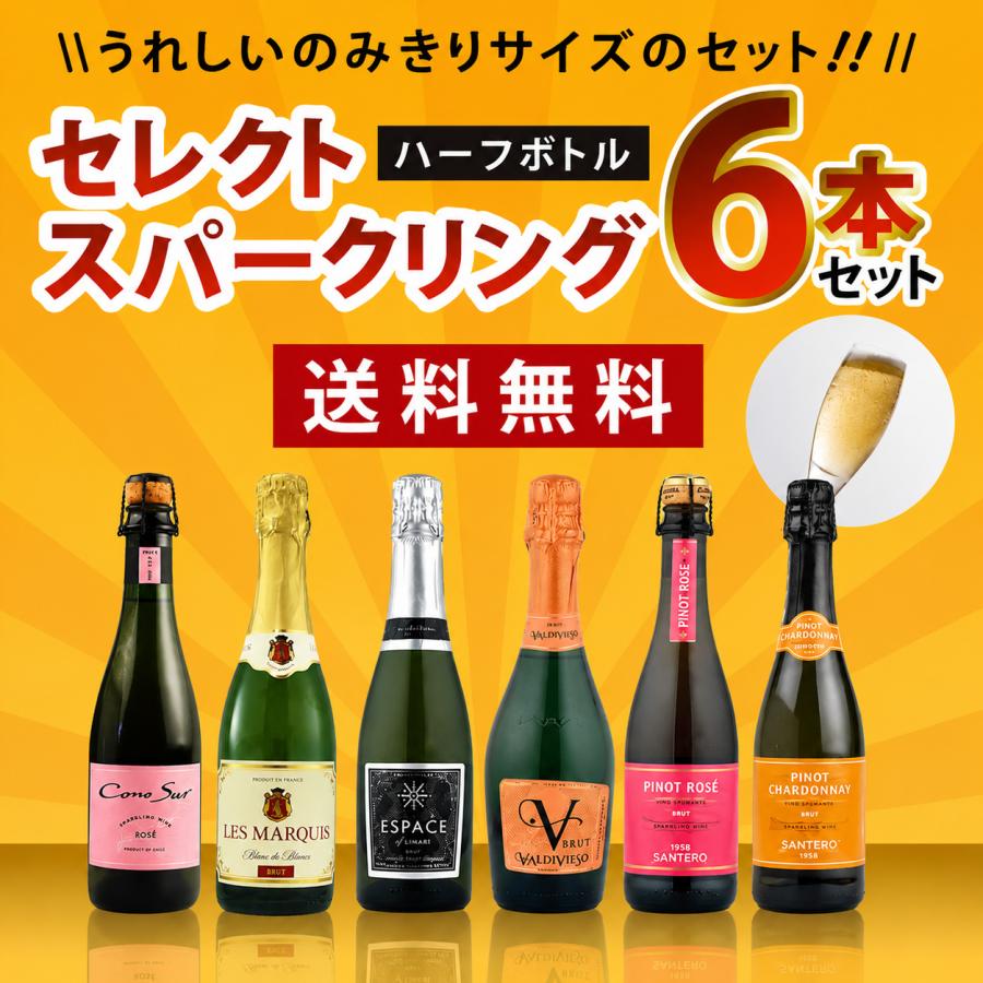 ワインセット セレクト スパークリング ワイン ハーフサイズ 6本セット