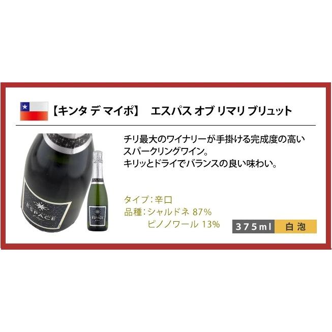ワインセット セレクト スパークリング ワイン ハーフサイズ 6本セット 375ml ハーフボトル 泡 飲みきりサイズ |  | 07