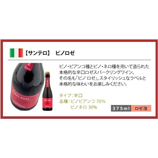 ワインセット セレクト スパークリング ワイン ハーフサイズ 6本セット 375ml ハーフボトル 泡 飲みきりサイズ |  | 08