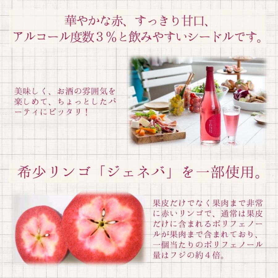 国産りんご100%使用 シードル ニッカ JAPAN CIDRE 720ml×6本 スパークリングワイン 数量限定 送料無料｜mashimo｜03