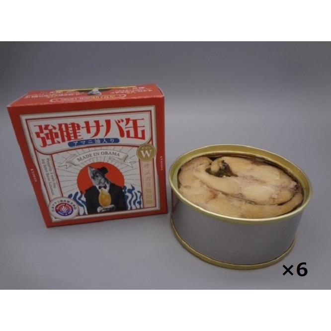 福井缶詰 強健サバ缶さば油漬けアマニ油入り 90g×6個セット 送料無料 | 