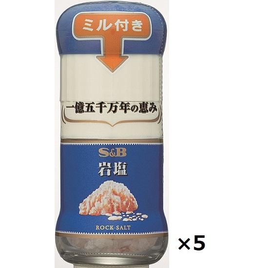 エスビー ミル付岩塩 40g×5本 | 