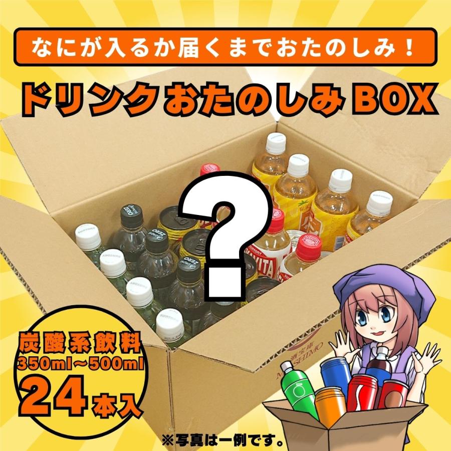 ドリンク おたのしみ BOX 炭酸飲料系 350ml〜500mlドリンク×24本入り 1ケース | 